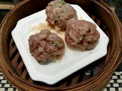 -新兴·金羊座·粤菜点心(乐峰店)