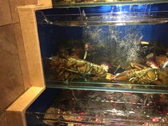 -马路边上·小海鲜烧烤(八一路店)