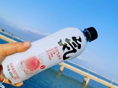 -海堤纪念公园