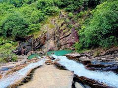 -广州白江湖森林公园