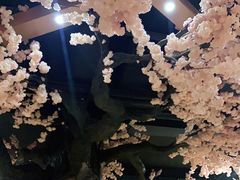 -金沙汤泉·足道洗浴汗蒸