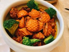 鲍鱼仔-都市阳光海鲜城(青山湖店)