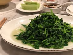 清炒豆苗-漢舍中国菜馆(889广场店)