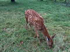 -上海交通大学(闵行校区)
