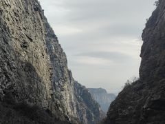 -青年公社烤鸭(滨湖银泰店)