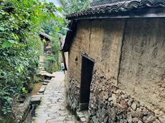 -杨家堂村