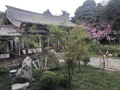 -西安青龙寺遗址景区