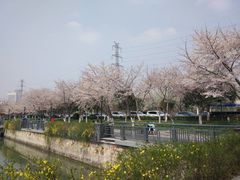 -西北湖绿化广场