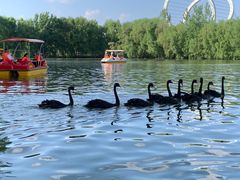 -长白岛森林公园