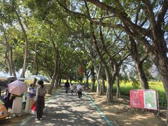 -光明小镇欢乐田园