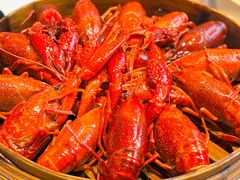 -靓靓蒸虾·头牌蒸虾(沙湖旗舰店)