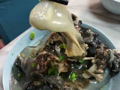 -德清诚信农产品莫干湖甲鱼直销店