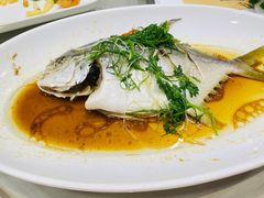 金鲳鱼-御同亨酒楼·喜宴