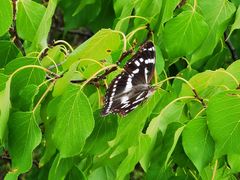 -蟠龙山长城景区