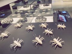 -现代汽车文化中心 Hyundai Motorstudio Beijing