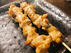 横隔膜-串鑫