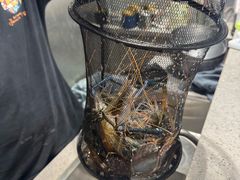 -桃源乐钓虾馆(松岗概念店)