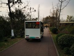 -白鹭湾湿地公园