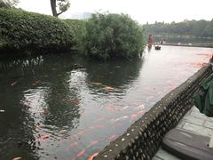 -大汗烧烤滩羊馆(清水河公园店)
