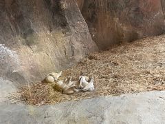 -杭州野生动物世界