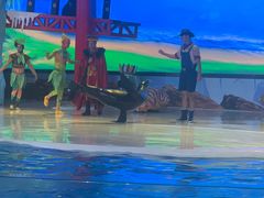 -三亚海昌梦幻海洋不夜城