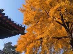 -承恩寺