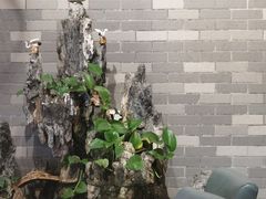 -粤点越有·茶点·粤菜(樵岭国际店)