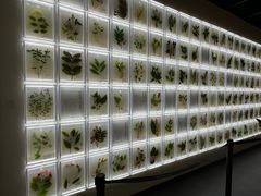 -广东中医药博物馆