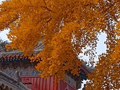-承恩寺