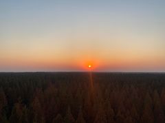 -黄海国家森林公园