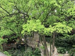 -巴倒烫陆派重庆火锅(南山店)