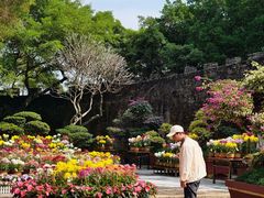 -广州莲花山旅游区