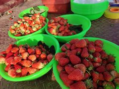 -汉长安城未央宫国家考古遗址公园