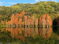 -广州市白云山风景名胜区