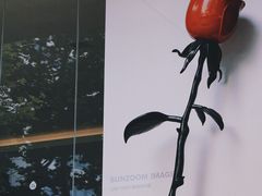 -西安电影制片厂