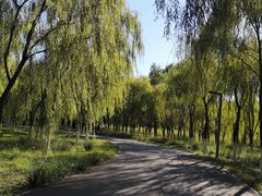 -东郊湿地公园