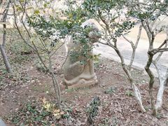 -雨花胜境