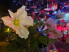 -胡桃里乐队酒馆(广州塔店)
