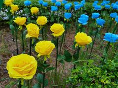 -南山图书馆(常兴路店)