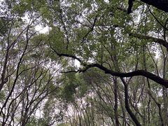 -东湖落雁景区