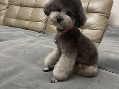 -沐沐家宠物(成寿寺店)