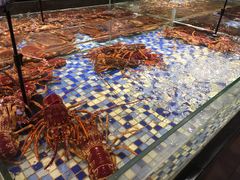 -森谷美食公园(杨行店)