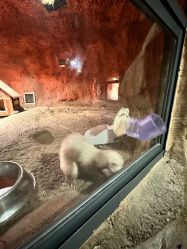 点击看大图 -酷嗒动物文化乐园(cutezoo西溪乐天城店)