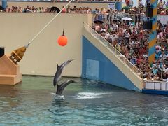 -秦皇岛乐岛海洋王国