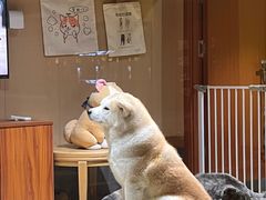 -大江户·温泉洗浴(浑南店)