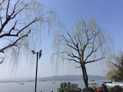 -杭州西湖柳莺里酒店·闻莺厅