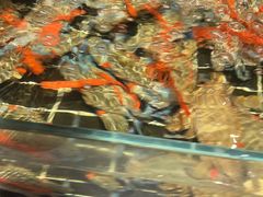 -海玥荟海鲜姿造自助餐厅(欧罗巴广场店)