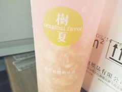 -树夏(建设路店)