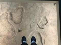 -湖南省地质博物馆