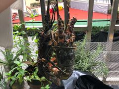 -江杨农产品批发市场